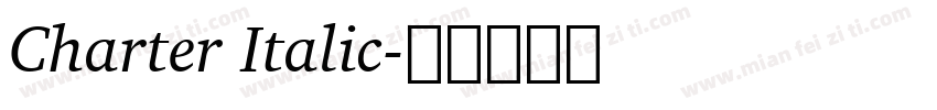 Charter Italic字体转换